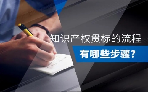 知識產權貫標認證流程
